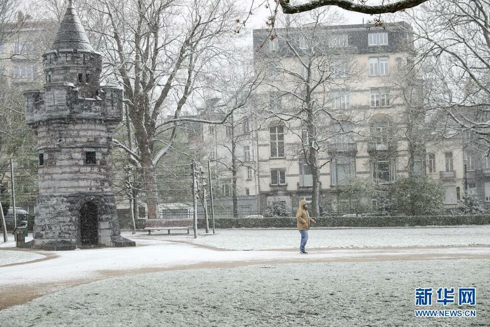 比利时布鲁塞尔迎春雪