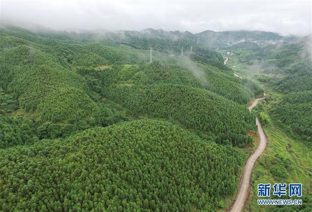 Tiongkok Adalah Mitra Yang Dapat Dipercaya dalam Tanggapi Perubahan Iklim Tiongkok Adalah Mitra Yang Dapat Dipercaya dalam Tanggapi Perubahan Iklim_fororder_气变2021041810