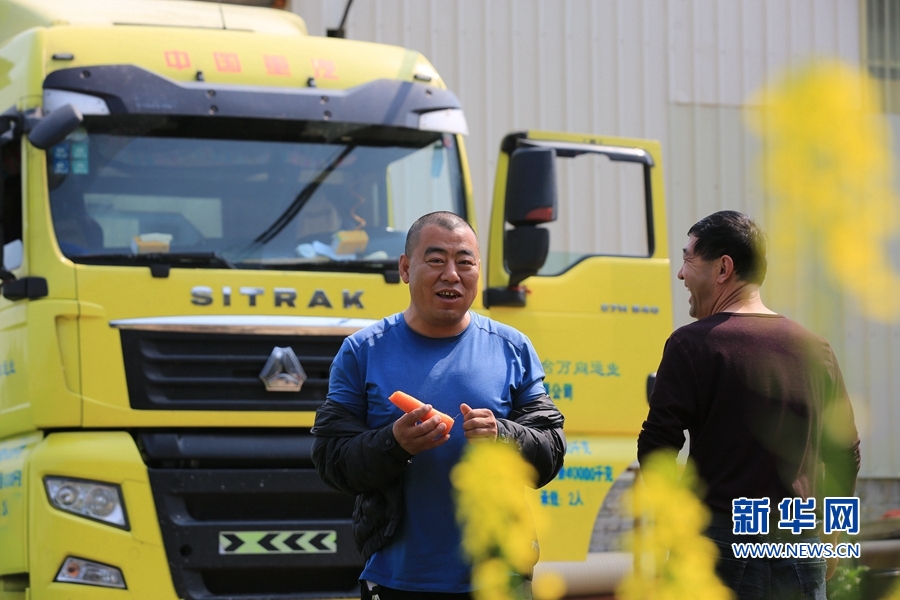 莆田北岸:小小胡萝卜 “长”成乡村振兴大产业