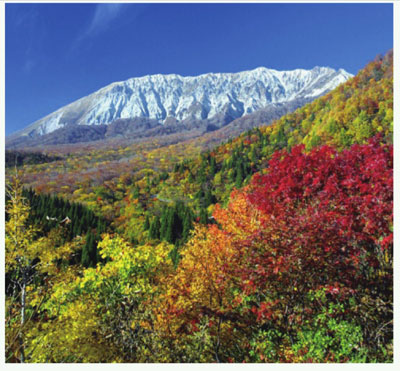 图片默认标题 图片默认标题_fororder_x1