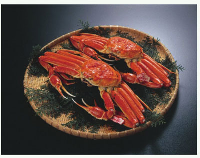 图片默认标题 图片默认标题_fororder_x5