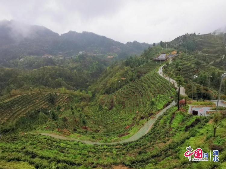 【铿锵奋进的脚步 续写春天的故事丨疫后重振看湖北】宜昌:以效能建设加速经济复苏