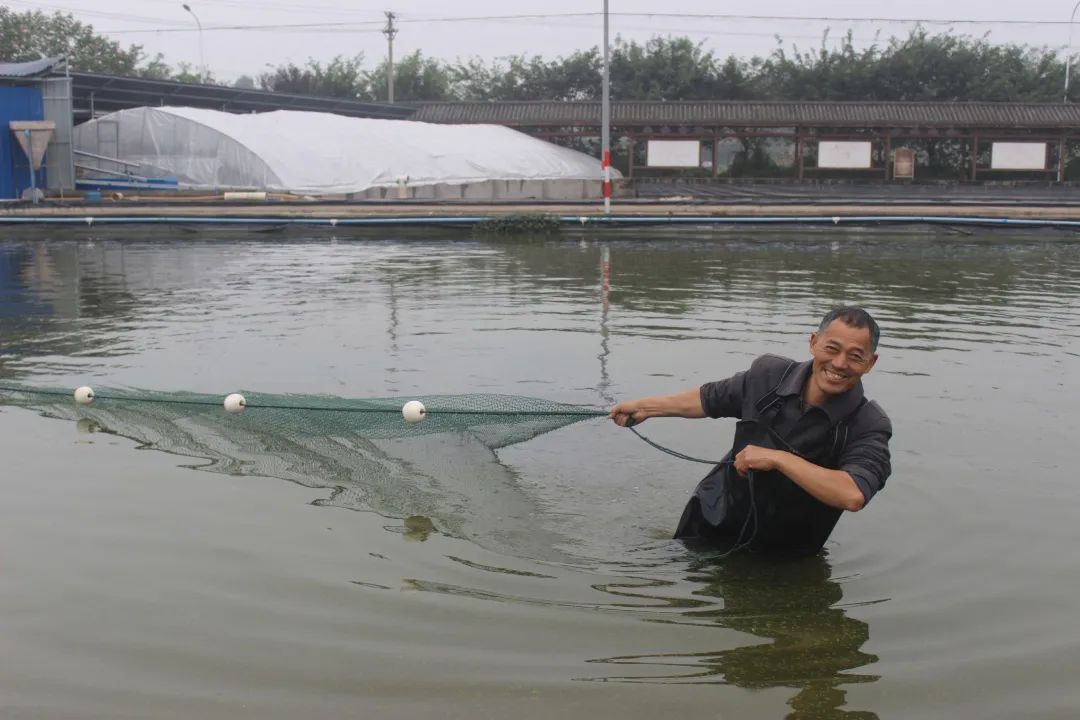 台企特色水产养殖 助力泸县乡村建设
