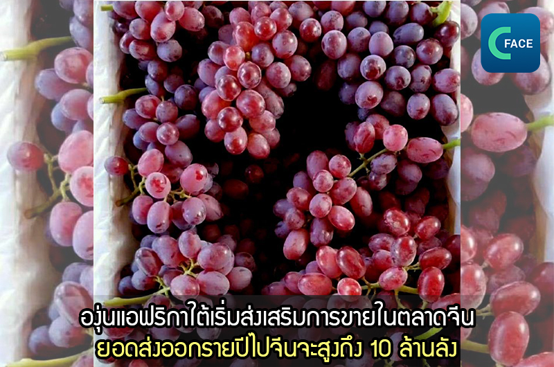 สัปดาห์แฟชั่นเซี่ยงไฮ้ฤดูใบไม้ร่วง-ฤดูหนาว 2021 เปิดขึ้น นำเสนอคาร์นิวัล “บนคลาวด์” เป็นครั้งแรก_fororder_20210408News07