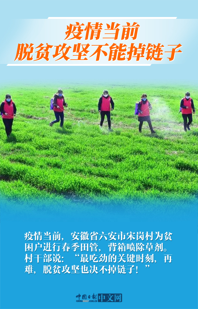 中国日报网■【图说中国经济】各地齐发力！疫情不减中国脱贫攻坚信心