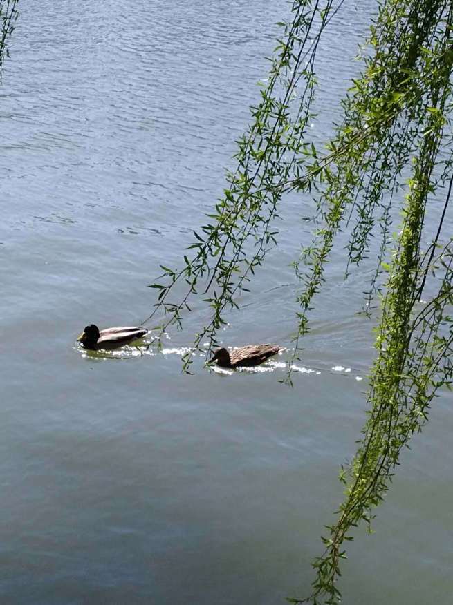 图片默认标题_fororder_WeChat Image_20200329215515