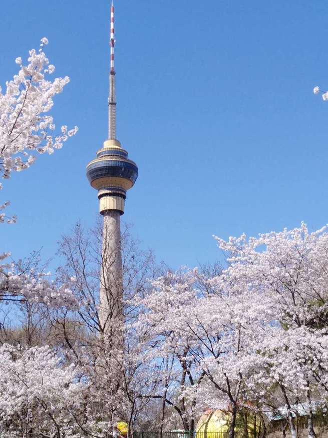 图片默认标题_fororder_WeChat Image_20200329215531