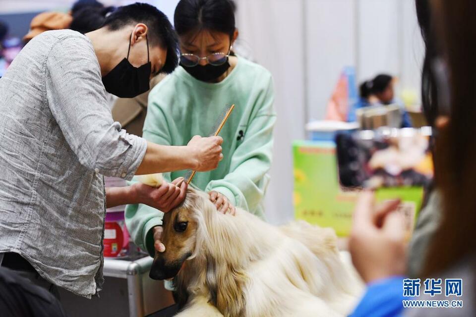 2021中部（郑州）宠物水族博览会举行