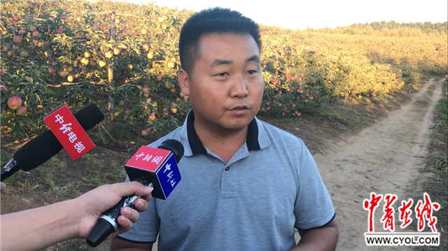 【喜迎十九大&#183;兴边富民行动】果树变身“摇钱树” 小村掀起返乡潮