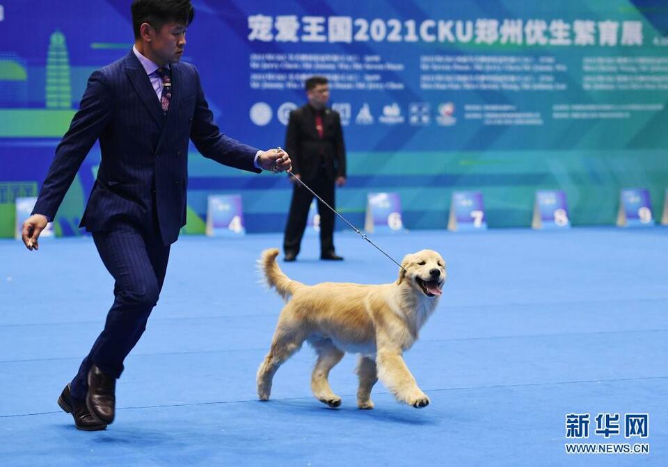2021中部（郑州）宠物水族博览会举行