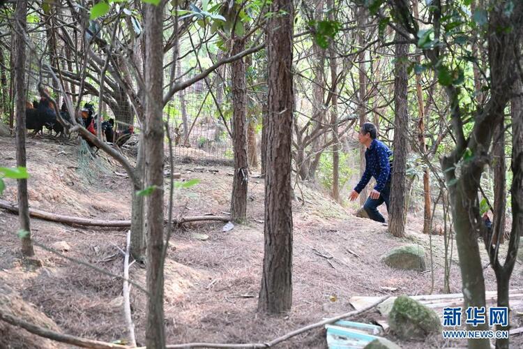 绿水青山享生态福利