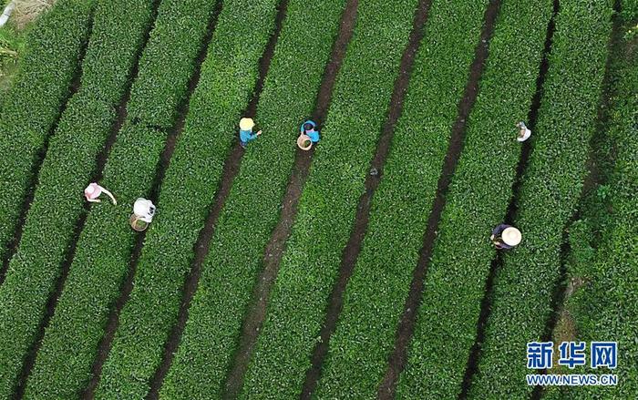 图片默认标题 图片默认标题_fororder_CqgNOlzYzIaAGFtQAAAAAAAAAAA297.900x564