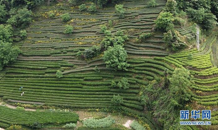 图片默认标题 图片默认标题_fororder_CqgNOlzYzIaALIa8AAAAAAAAAAA889.900x537