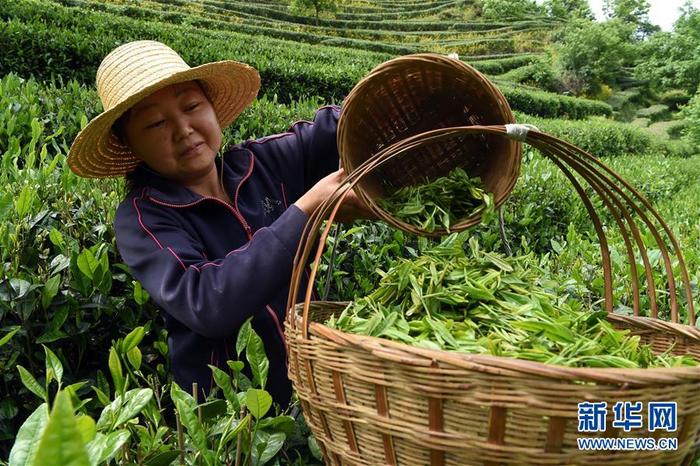 图片默认标题 图片默认标题_fororder_CqgNOlzYzIaANLv2AAAAAAAAAAA723.899x598