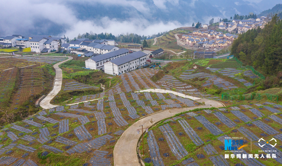 新华网：无人机航拍：茶山村的春天