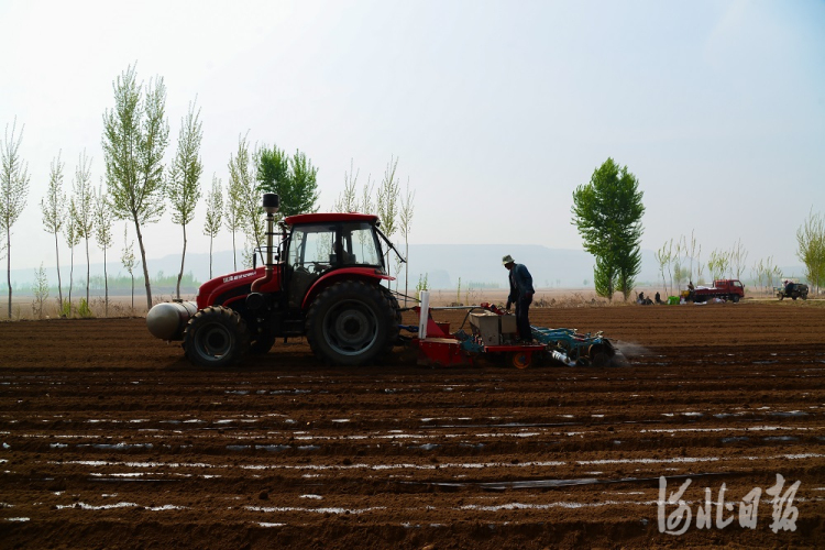 唐山迁西：调整产业结构 特色农业种植面积达3.9万亩