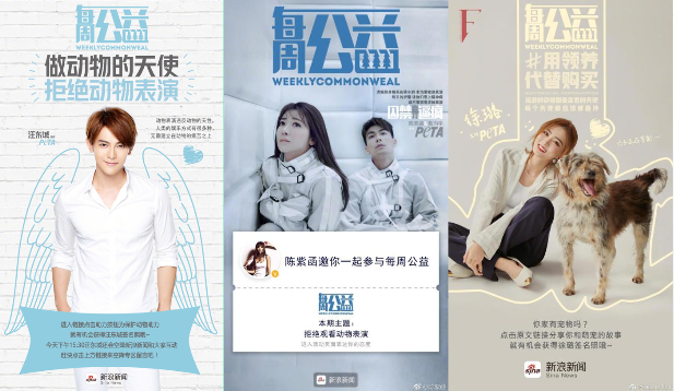 新浪新闻app“每周公益”为善待动物持续发声 新浪新闻app“每周公益”为善待动物持续发声