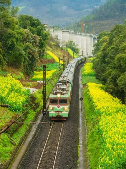 ヒツジの群れも鉄道の旅を満喫？_fororder_2-2