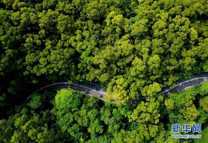 图片默认标题 图片默认标题_fororder_1124484013_15576646820771n