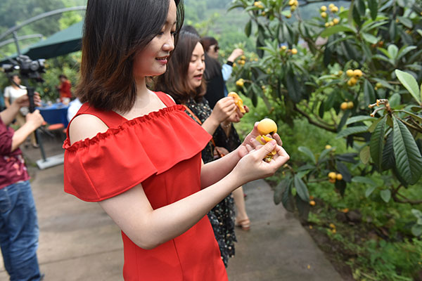 图片默认标题_fororder_1