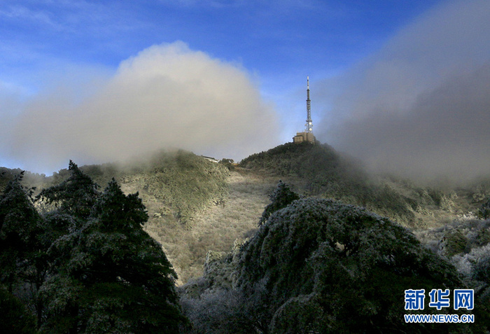 图片默认标题 图片默认标题_fororder_2