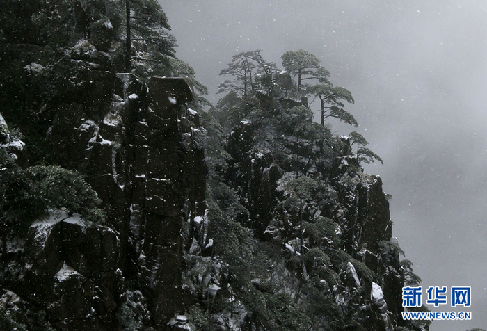 图片默认标题 图片默认标题_fororder_4