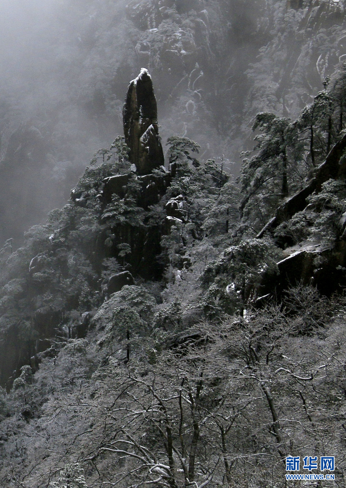 图片默认标题 图片默认标题_fororder_3