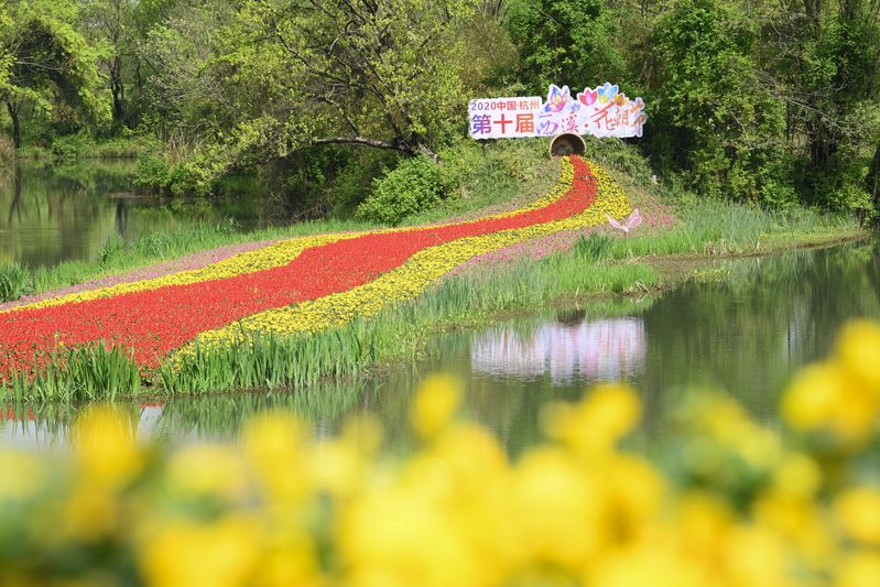 西溪湿地：春光旖旎又花朝