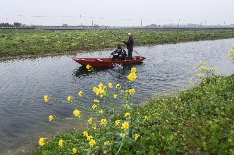 浙江湖州：“生态混养”助推乡村现代农业