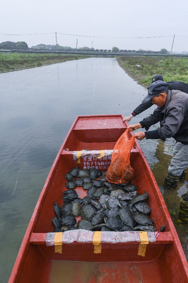 浙江湖州：“生态混养”助推乡村现代农业