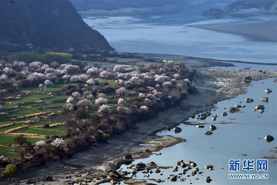 春到雅鲁藏布江大峡谷