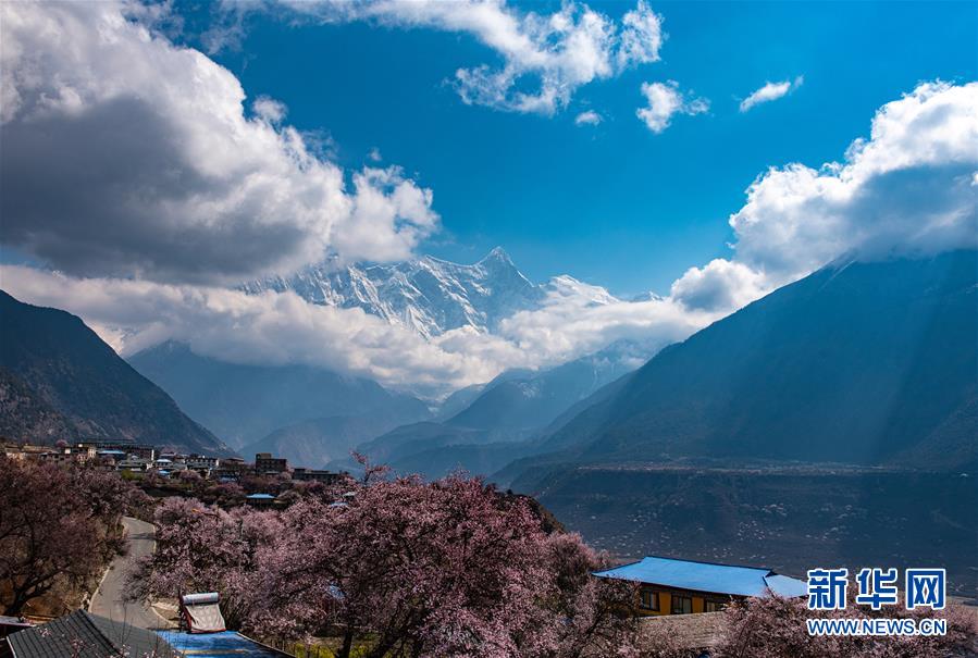 春到雅鲁藏布江大峡谷