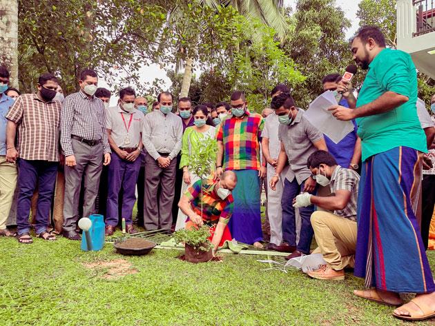 සිංහල දෙමළ අලුත් අවුරුදු නැකත් චාරිත්‍රයේ පැළ සිටුවීම අද (16)_fororder_image_946a89fdaa