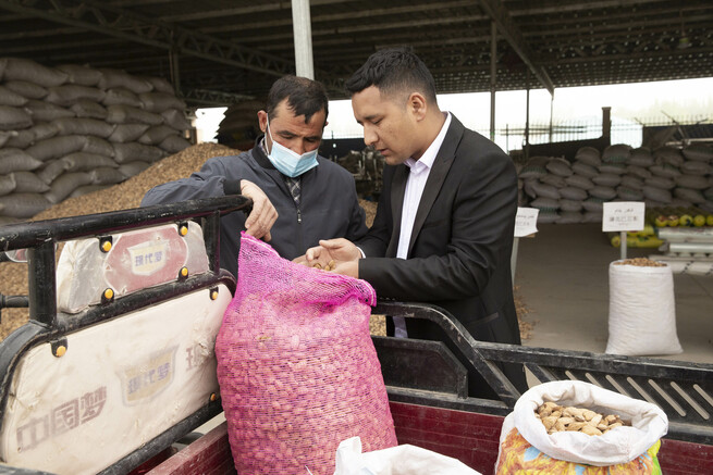 アーモンドで貧困から脱却=新疆・ヤルカンド県_fororder_E1