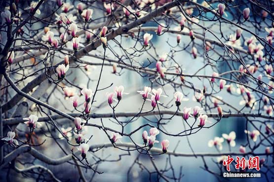 图片默认标题_fororder_332