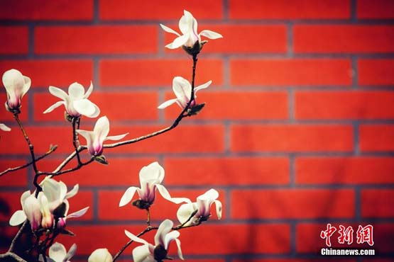 图片默认标题_fororder_331