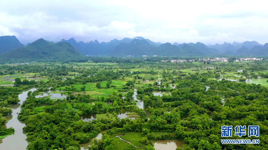 到桂林会仙湿地感受漓江流域生态之美