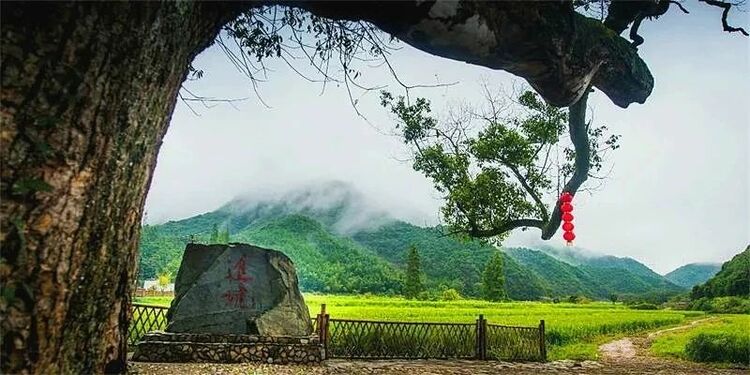 【沿着高速看中国（江西）】景婺黄(常)高速助浮梁迈上致富路