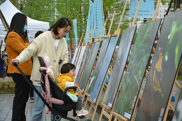 首届龙泉山自然观察节在成都龙泉驿区柏合街道启幕_fororder_活动现场--供图--成都市龙泉驿区柏合街道办-(3)