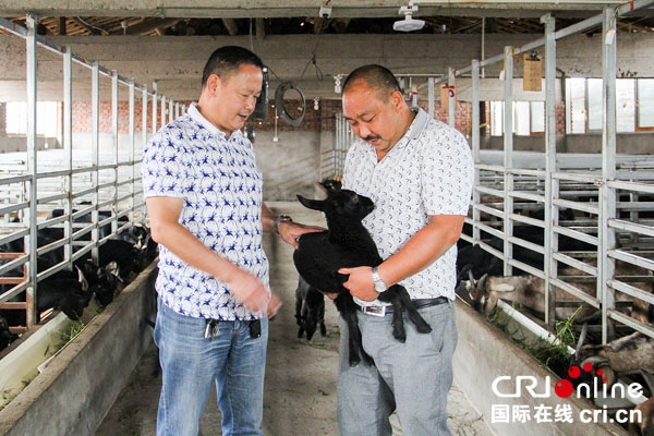 图片默认标题_fororder_关世禄（右）向镇干部介绍养羊情况