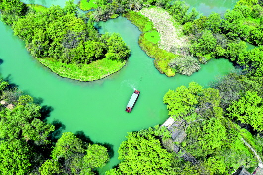 「新华网」“天堂绿肺”养成记 西溪湿地：从污水横流到城市生态建设标杆