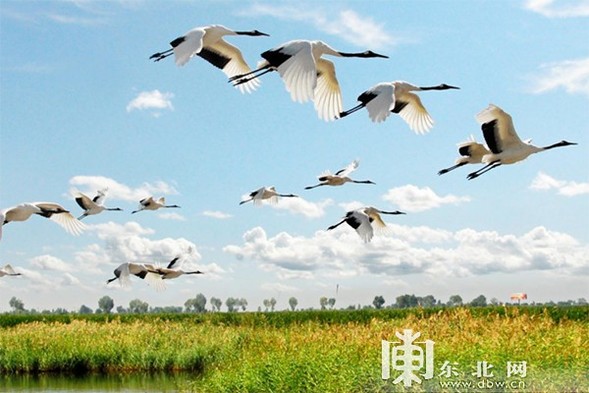 5月19日“中国旅游日” 黑龙江116项系列活动和139项惠民措施等你来！