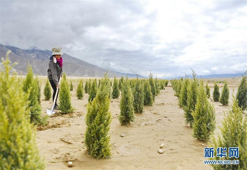 Tiongkok Adalah Mitra Yang Dapat Dipercaya dalam Tanggapi Perubahan Iklim Tiongkok Adalah Mitra Yang Dapat Dipercaya dalam Tanggapi Perubahan Iklim_fororder_气变2021041805