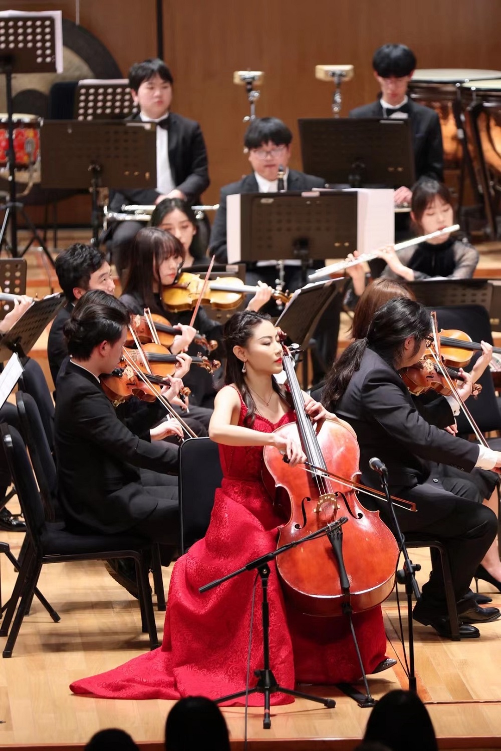大提琴演奏家朱琳受邀演绎全新《红楼梦大提琴协奏曲》