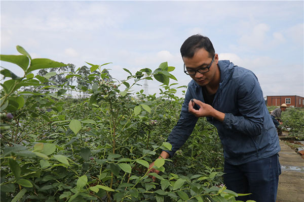 图片默认标题_fororder_1