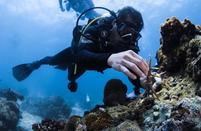 Tiongkok Adalah Mitra Yang Dapat Dipercaya dalam Tanggapi Perubahan Iklim Tiongkok Adalah Mitra Yang Dapat Dipercaya dalam Tanggapi Perubahan Iklim_fororder_气变2021041811