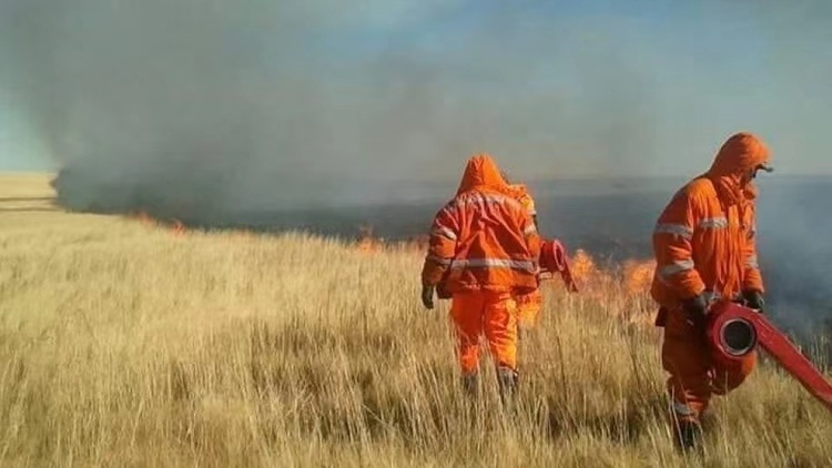 蒙古国草原大火已全部被扑灭