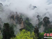 Zhangjiajie Diliputi Kabus Seindah Lukisan
