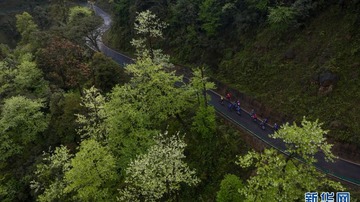 පරිසර හිතකාමී ප්‍රදේශ වල දිගු පා ගමන්