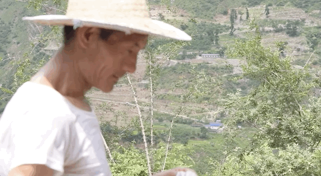 纪录片《走近大凉山》：竹内亮的十年之约